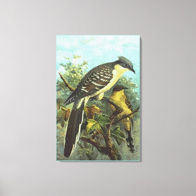 Impresión de lienzos de Cuco con Gran Pared (Anverso)