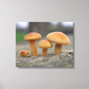 Impresión de lienzos de macros de taburetes pequeñ