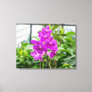 Impresión de lienzos de orquídeas púrpura