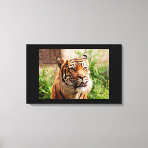 Impresión de lienzos de tigre en blanco y negro