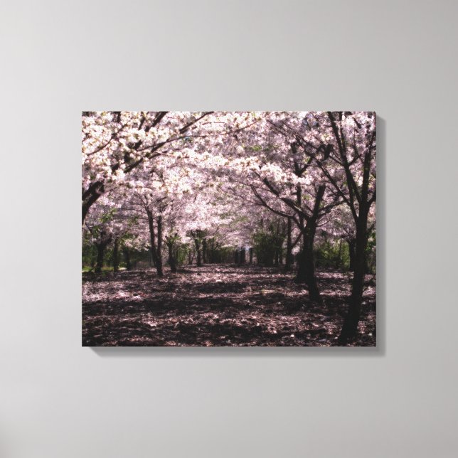 impresión de lienzos envueltos de cerezos (Anverso)