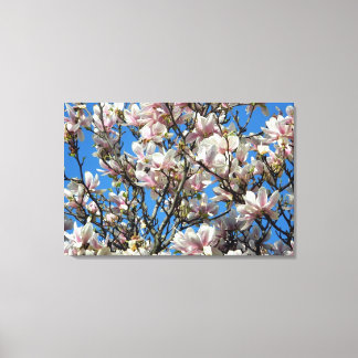 Impresión de lienzos envueltos de Magnolia Blossom