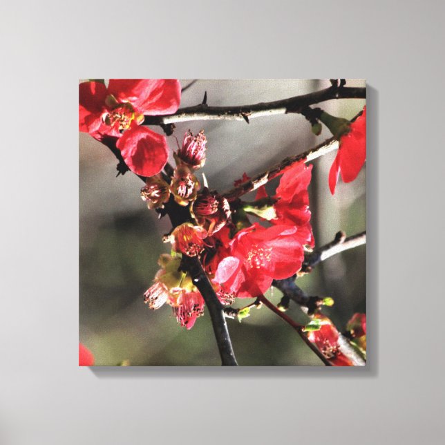 Impresión de lienzos florales en florines rojos (Anverso)