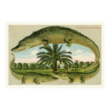 Impresión de ligador 1