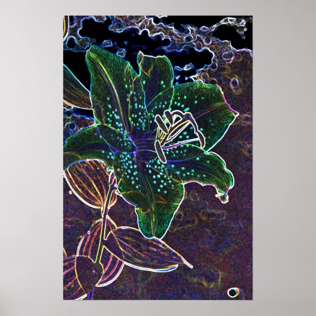 Impresión de Lily de Noche (Frente)
