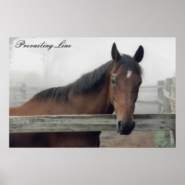 Impresión de línea previa (Frente)