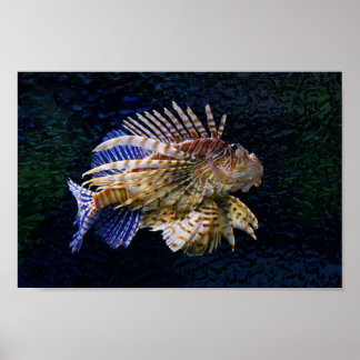 Impresión de Lionfish