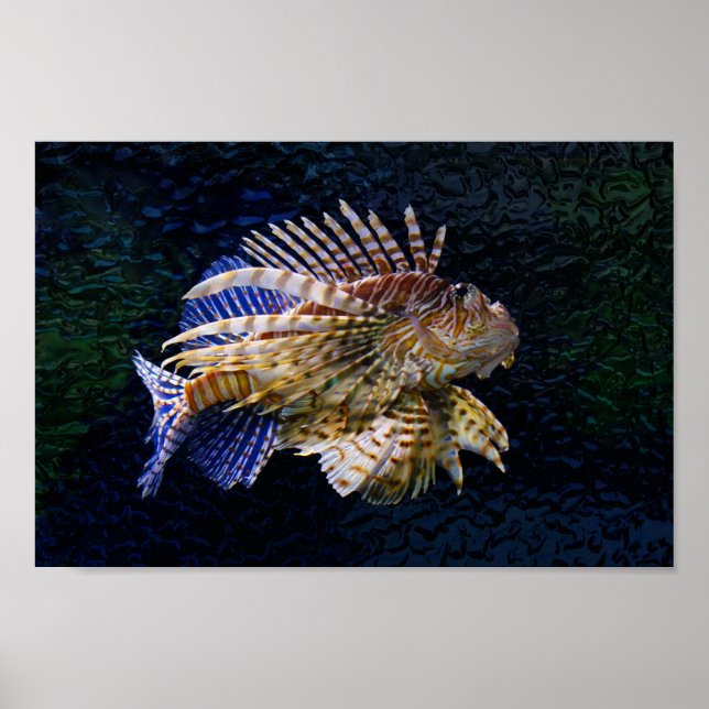 Impresión de Lionfish (Frente)
