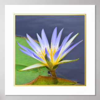 Impresión de Lirio de Agua Amarillo y Lavanda con 