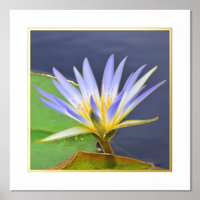 Impresión de Lirio de Agua Amarillo y Lavanda con  (Anverso)