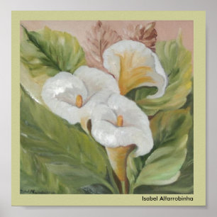 Impresión de los ARUMS