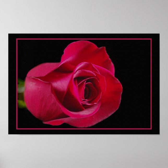 Impresión de los budos de las rosas rojas (Frente)
