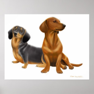 Impresión de los perros de la salchicha de