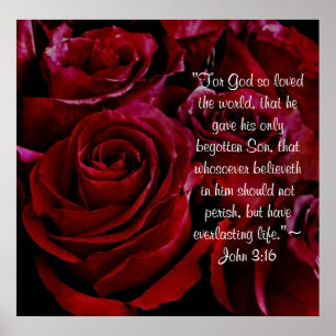 Impresión de los rosas rojos del 3:16 de Juan