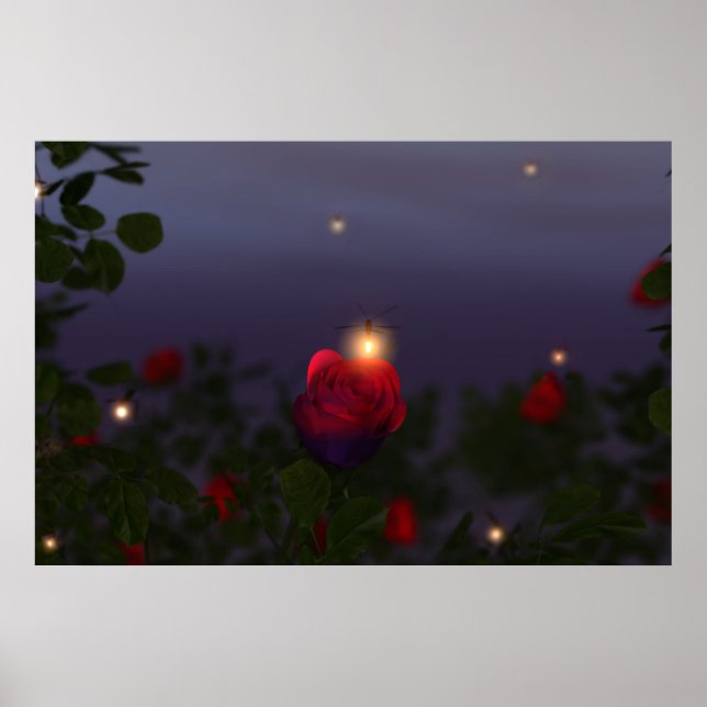 Impresión de luces nocturnas de verano (Frente)