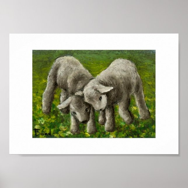 Impresión de lucha de cordero (Frente)