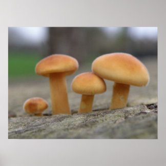 Impresión de macros de taburetes pequeños