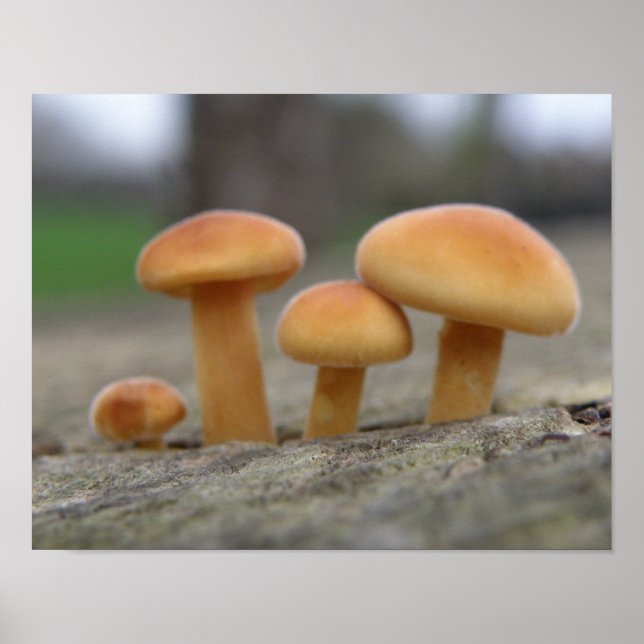 Impresión de macros de taburetes pequeños (Frente)