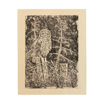Impresión de madera de Linocut del búho