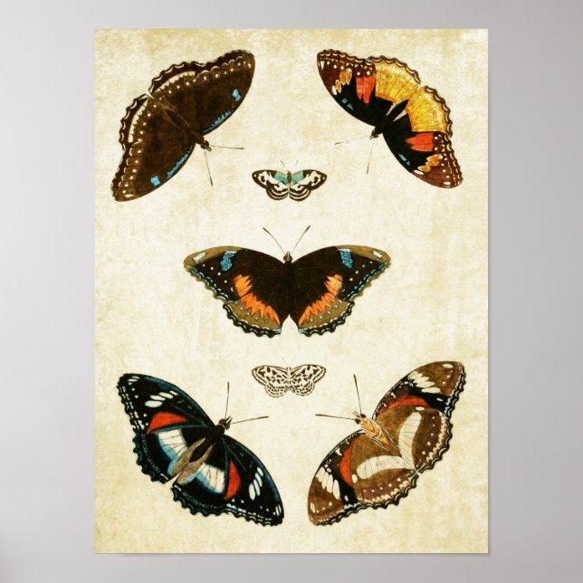 Impresión de mariposa de época 067 (Frente)