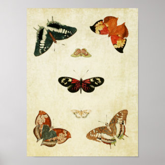 Impresión de mariposa de época 119