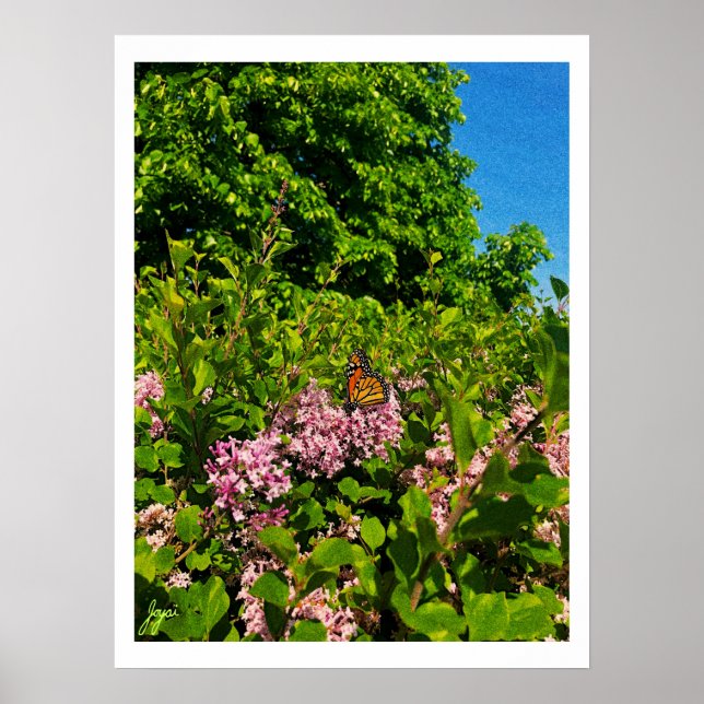 Impresión de mariposa de verano (Frente)