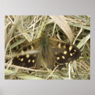 Impresión de Mariposa Madera Manchada