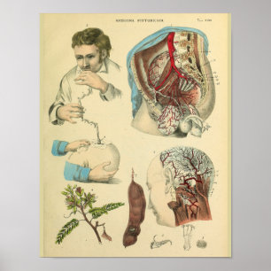 Impresión de Médicas de arte de anatomía de cabeza