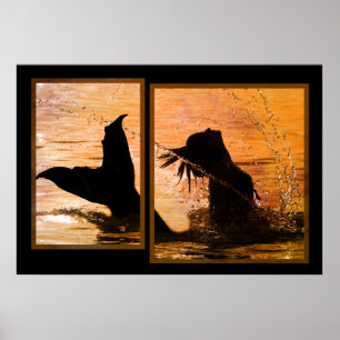 Impresión de Mermaid