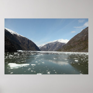Impresión de montañas y icebergs