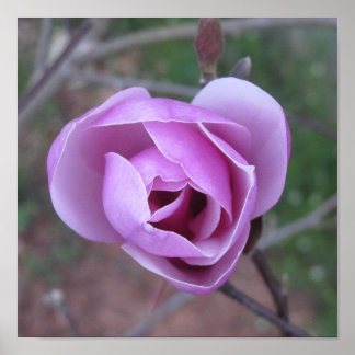 Impresión de morado
