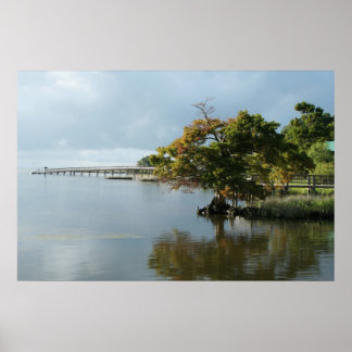 Impresión de muelle de paque (OBX)