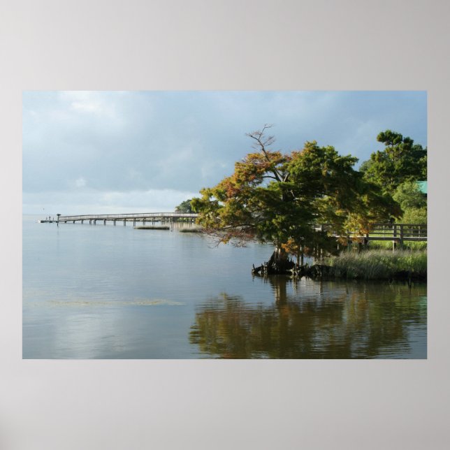 Impresión de muelle de paque (OBX) (Frente)