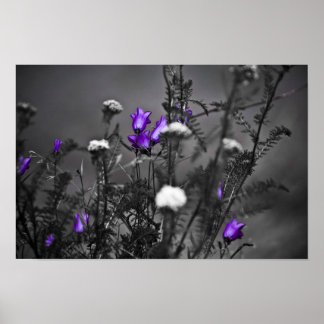 Impresión de Mugshot Blue Bells