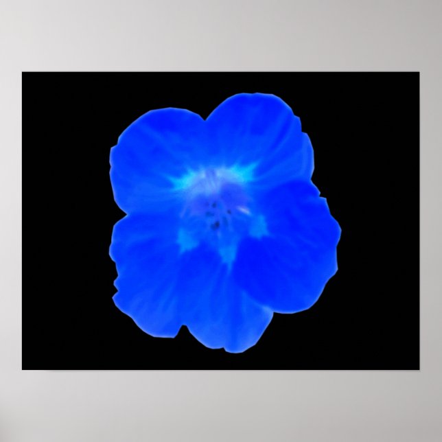 Impresión de nasturtio azul (Frente)