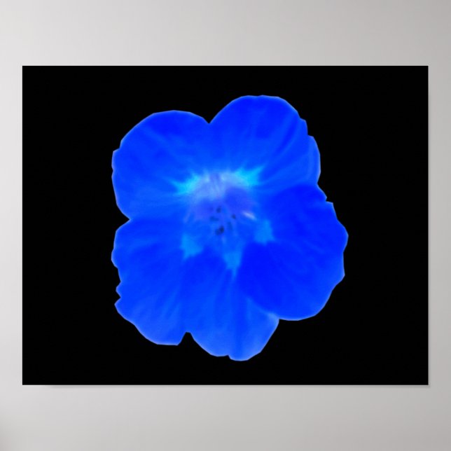 Impresión de Nasturtium Azul (Frente)