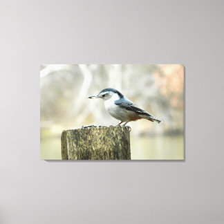 Impresión de nuthatch con la naturaleza de las sem