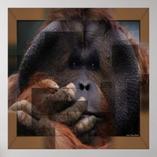Impresión de Orangutan