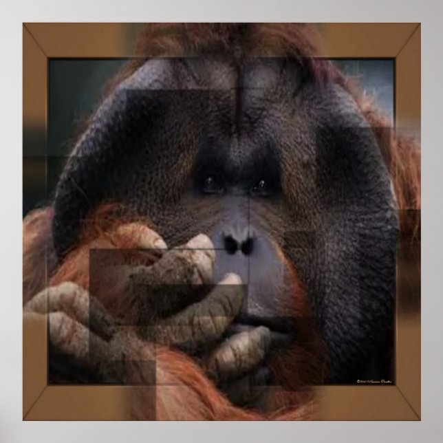 Impresión de Orangutan (Frente)