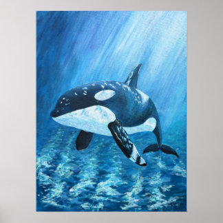 Impresión de orca asesina de Trent TODAS LAS TALLA