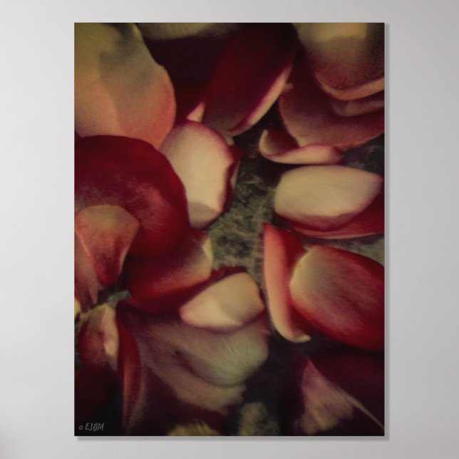 Impresión de oro o Relieve metalizado plateado de  (Anverso)