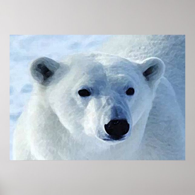Impresión de oso polar (Frente)