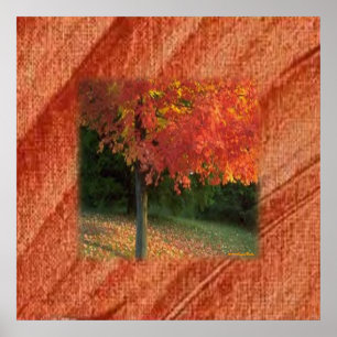 Impresión de otoño