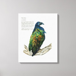 Impresión de pájaro pintado a mano en lienzo
