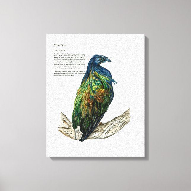 Impresión de pájaro pintado a mano en lienzo (Anverso)