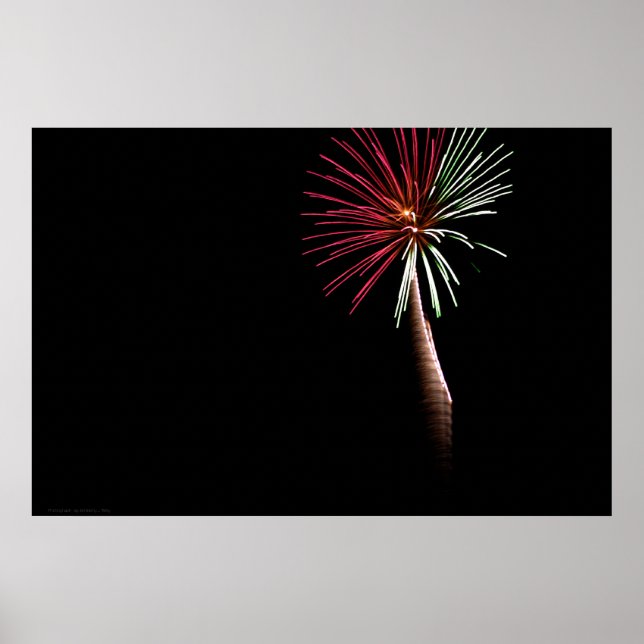 Impresión de palma roja y verde (Frente)