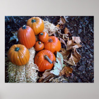 Impresión de pantalla de calabaza