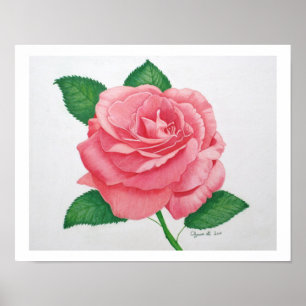 Impresión de pasión rosa