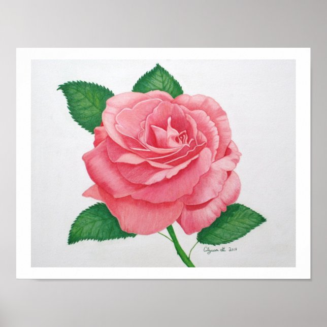 Impresión de pasión rosa (Frente)