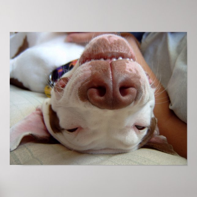 Impresión de perro feliz (Frente)